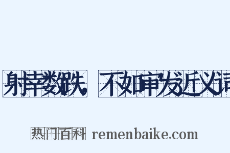射幸数跌，不如审发近义词是什么意思的图片